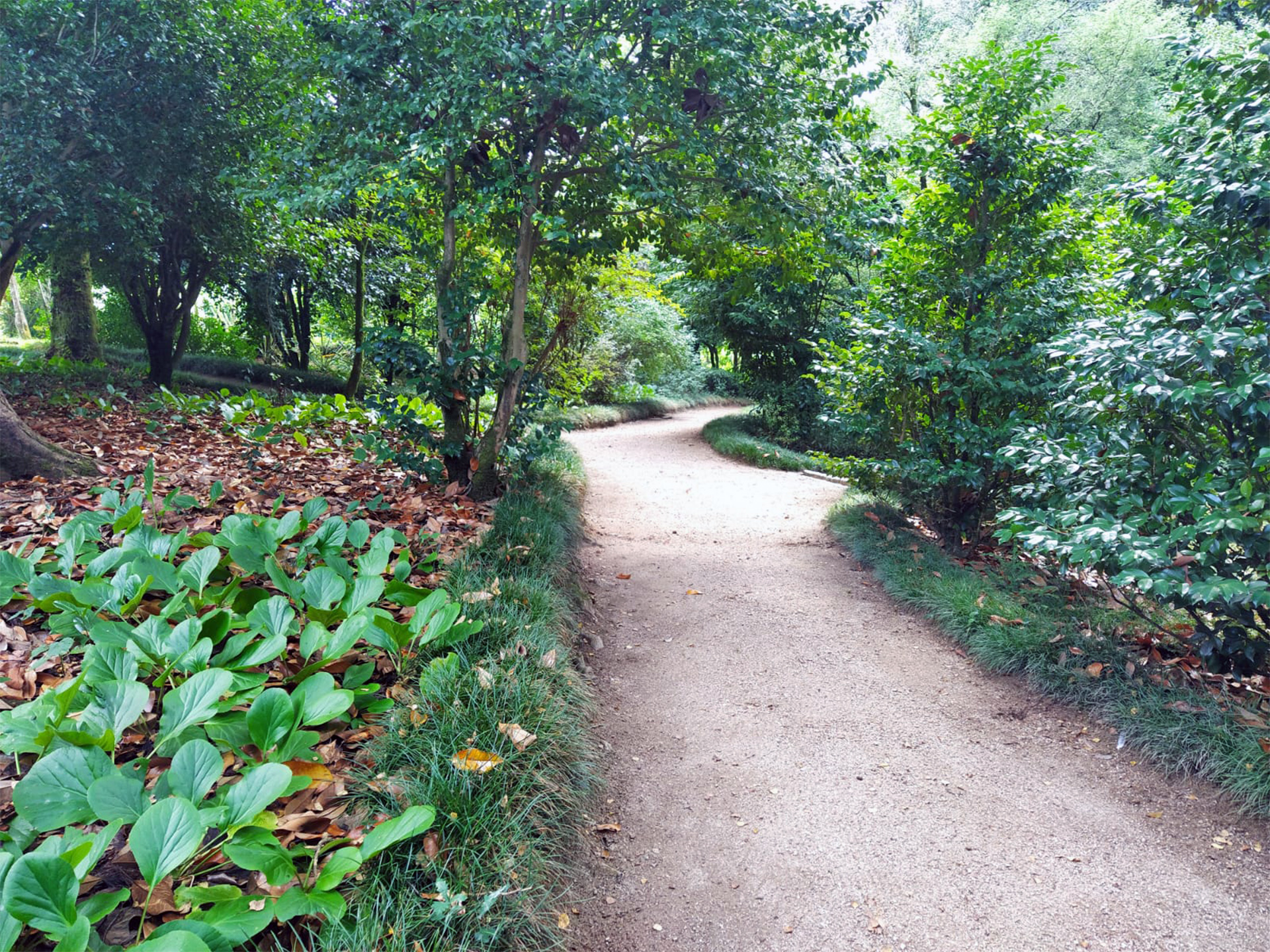 Caminos del bosquecillo de Viet, Pazo de Oca, A Estrada, Pontevedra. Fondazione Casa Ducale di Medinaceli.