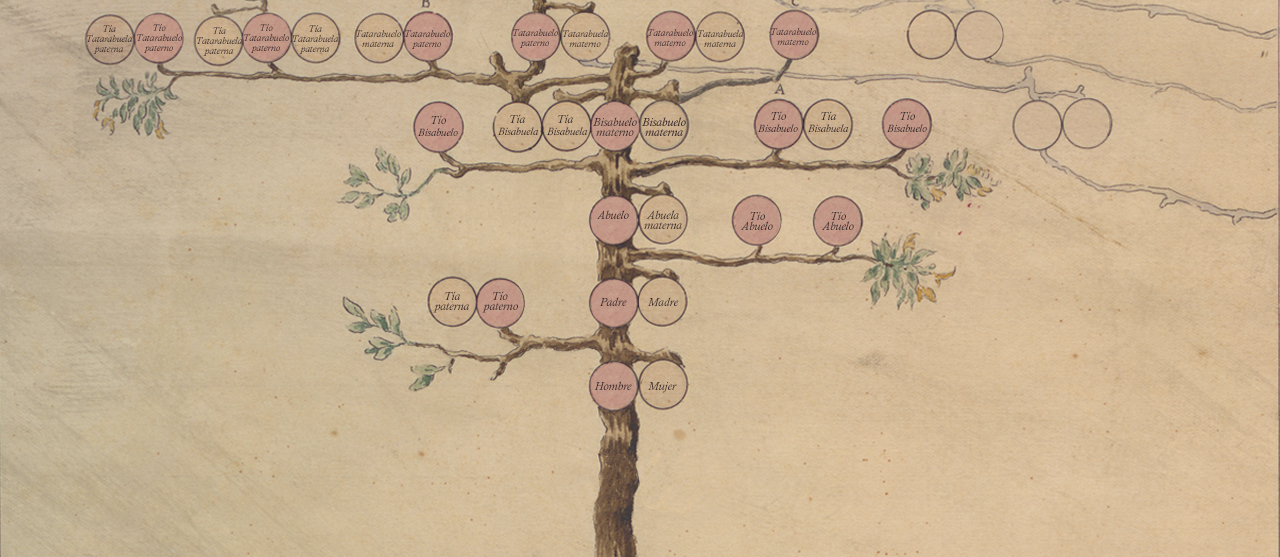 Family tree of Francisco de los Cobos.